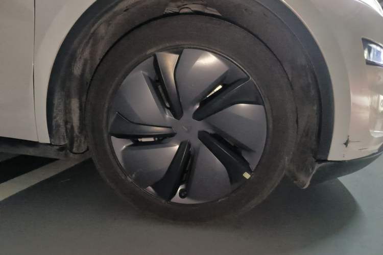 Used Tesla Model Y 2025 Rear-Wheel Drive First Edition