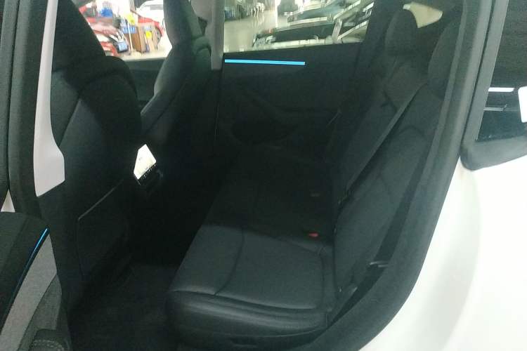 Used Tesla Model Y 2025 Updated Version Long-Range All-Wheel Drive