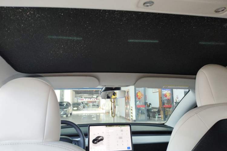 Used Tesla Model 3 2022 Rear-Wheel-Drive Version
