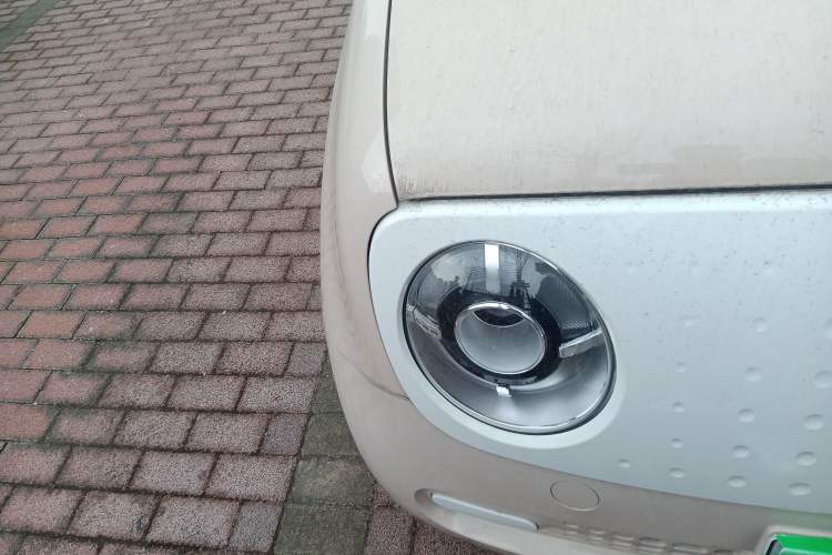 Used ORA Black Cat 2021 301 km Basic Version