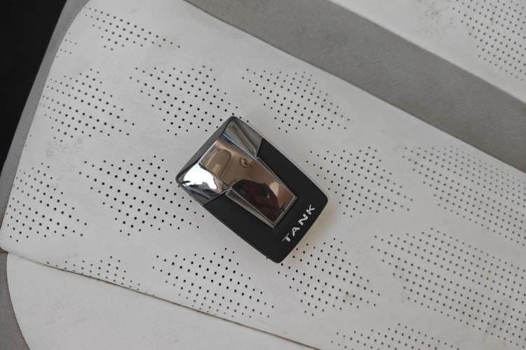 Used Cyberspace Tank 300 2021 2.0T Cyber Tank