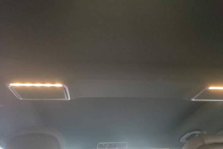 Used Mercedes-Benz S-Class 2020 S 350 L Exclusive Edition Prestige Collection Headliner