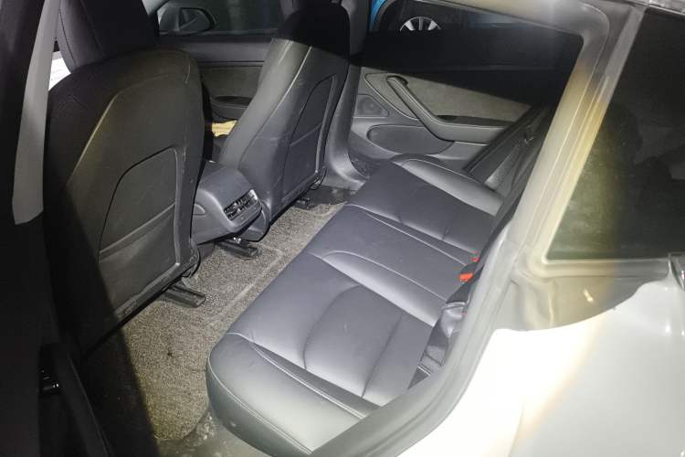 Used Tesla Model 3 2020 Revised Version Standard Range Rear-Wheel Drive – Upgraded Edition
