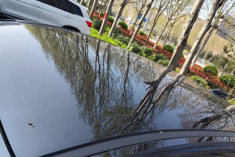 Used Hongqi E-QM5 2023 620km PLUS Roof