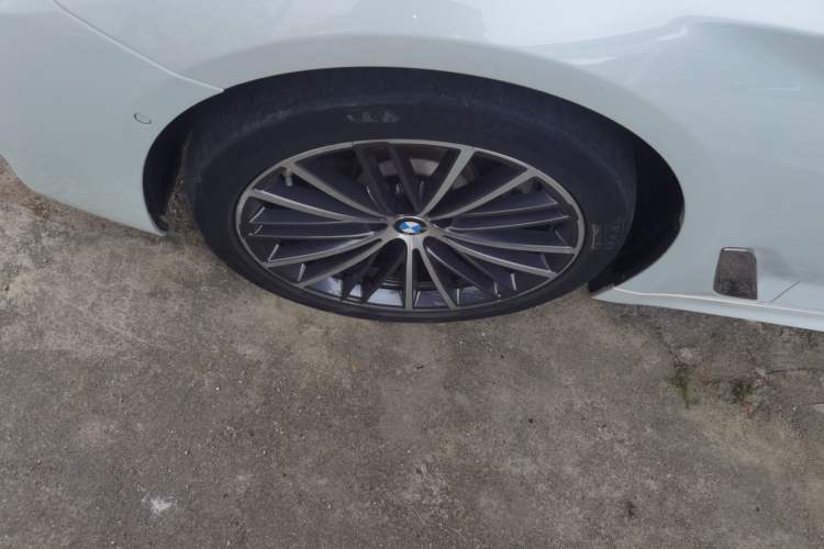 Used BMW 5 Series 2020 530Li Leading Model M Sport Package