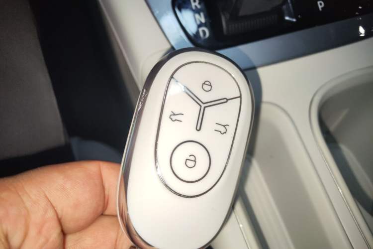 Used Geely Galaxy Geome 2025 310km Youth Edition