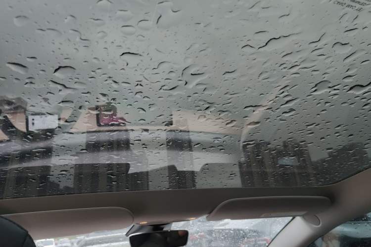 Used Tesla Model 3 2022 Rear-Wheel-Drive Version Headliner