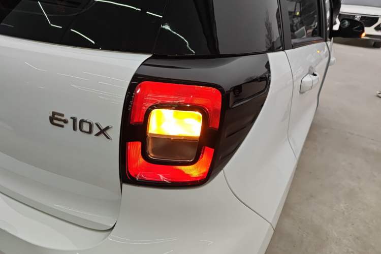 Used SOL E10X 2022 Flower Fairy Design Four-Leaf Clover