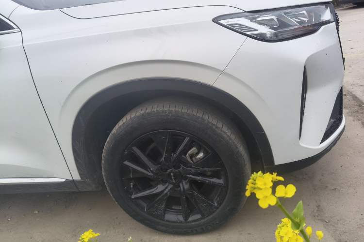 Used Haval H6 2021 3rd Generation 2.0T Automatic Two-Wheel Drive Max