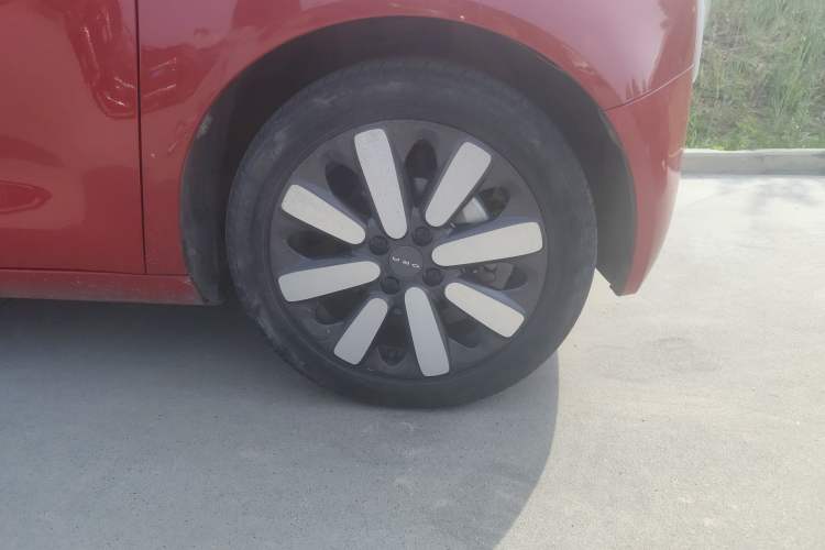 Used ORA Black Cat 2019 351 km Goddess Edition
