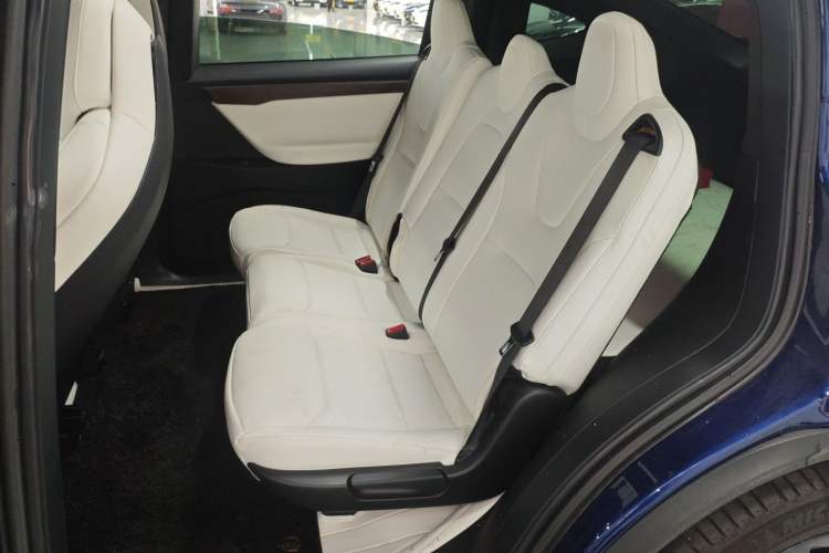 Used Tesla Model X 2017 X 100D Long Range Edition
