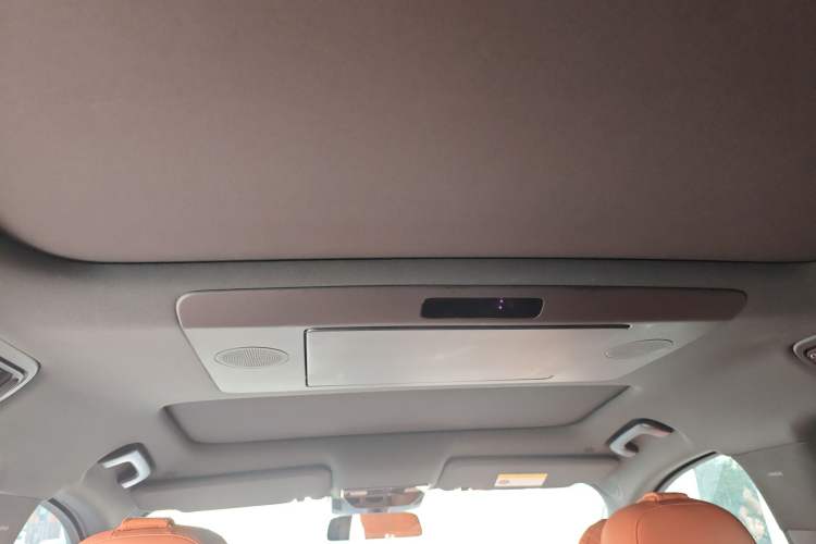 Used Li Auto L9 2022 Max model Headliner