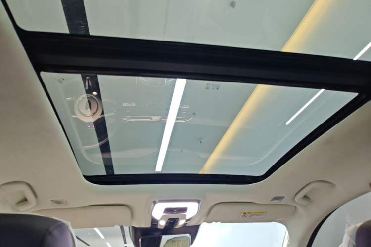 Used Hongqi E-HS9 2022 660 km Range Flagship Edition Four Seats Headliner