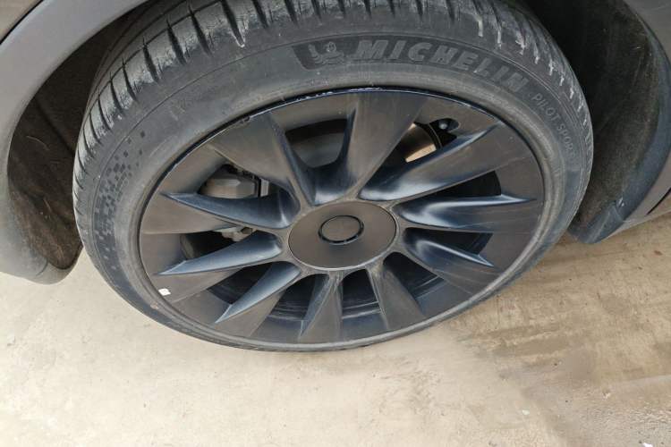 Used Tesla Model Y 2021 Standard Range Rear-Wheel Drive Version
