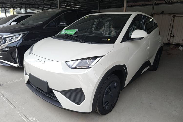 Used BYD Seagull 2025 305 km Free Version