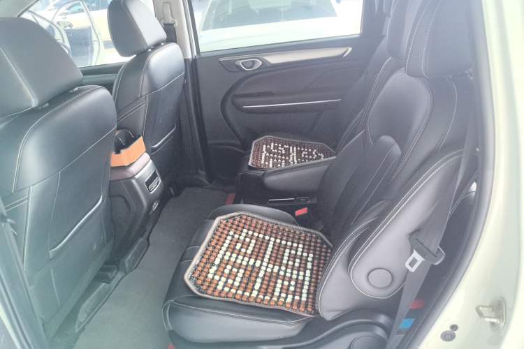 Used GAC Trumpchi M6 2023 PRO 270T DCT Luxury Edition Left Rear Seat