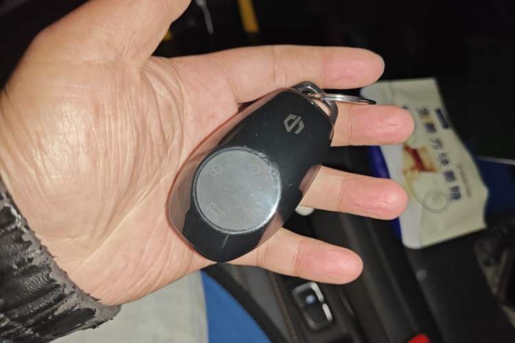 Used Leapmotor T03 2020 400 Luxury Edition
