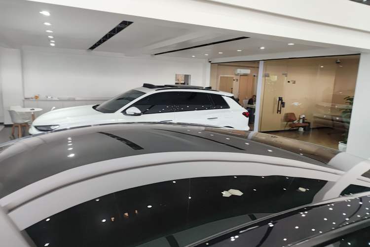 Used Tesla Model Y 2023 Rear-Wheel-Drive Version Roof