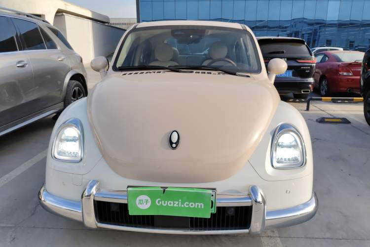 Used ORA Ballet Cat 2023 401 km Luxury Version
