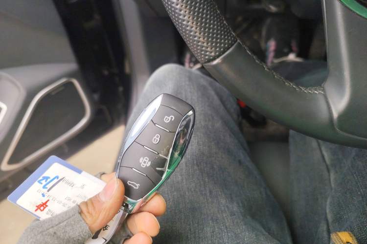 Used Hongqi HS7 PHEV 2024 2.0T PHEV Four-Wheel Drive Flagship Edition 6 Seats