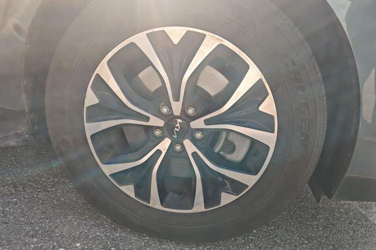 Used Kia Carnival 2021 2.0T Flagship Edition