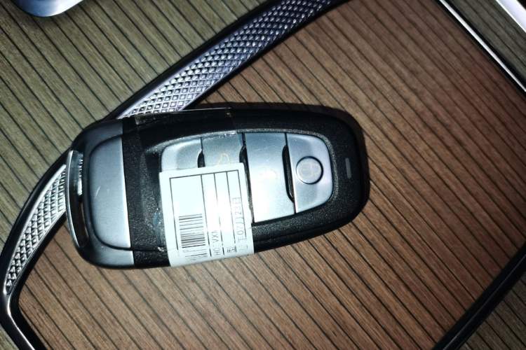 Used Hongqi E-HS9 2022 660 km Range Flagway Edition Six Seats