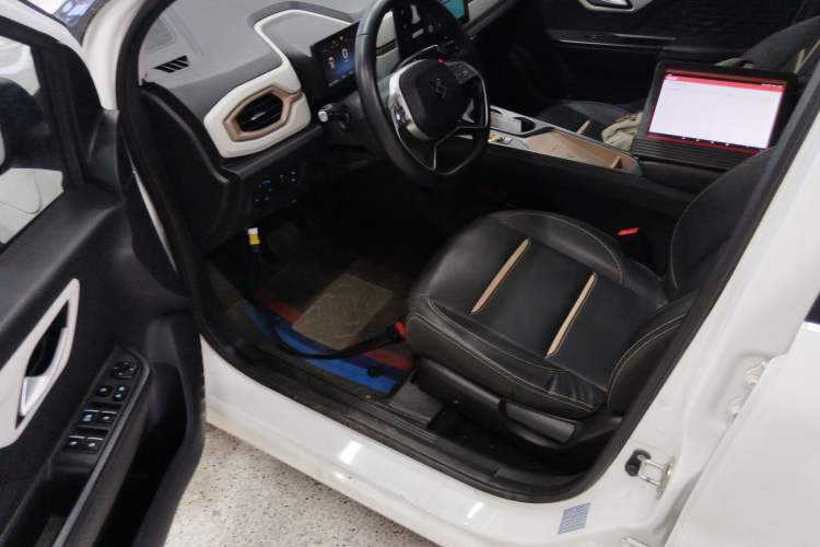 Used SOL E10X 2022 Flower Fairy Style Baby's Breath Driver Seat