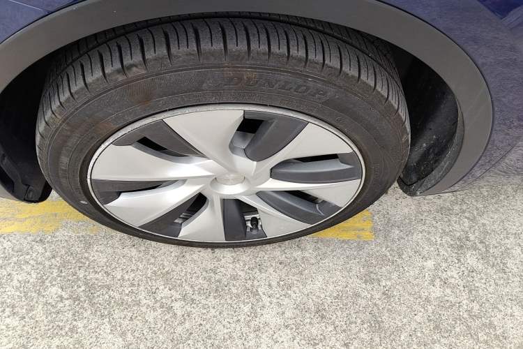 Used Tesla Model Y 2021 Standard Range Rear-Wheel Drive Version