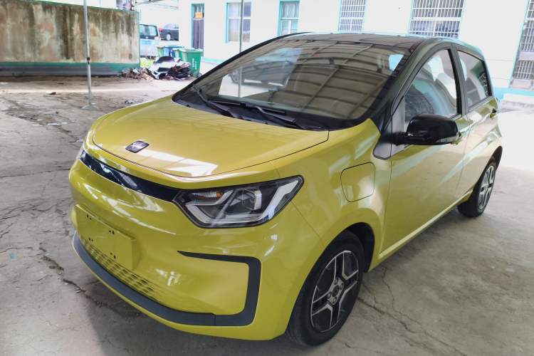 Used SOL E10X 2022 Flower Fairy Design Four-Leaf Clover