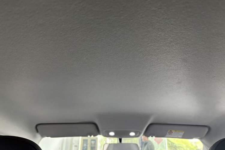 Used Leapmotor T03 2025 310 Comfort Edition Headliner