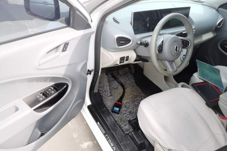 Used ORA White Cat 2020 360 km Luxury Version Driver Seat