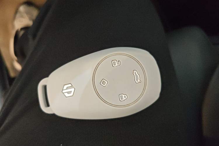 Used Leapmotor C11 2021 Revised Version Luxury Edition