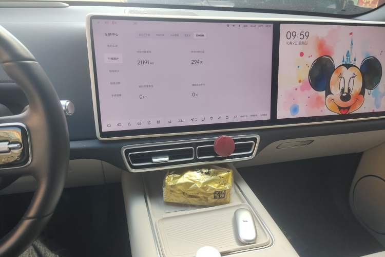 Used Li Auto L6 2024 Pro Model