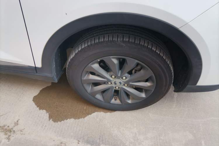 Used WM Motor EX5 2019 EX5 Mate Weymeng Edition 400