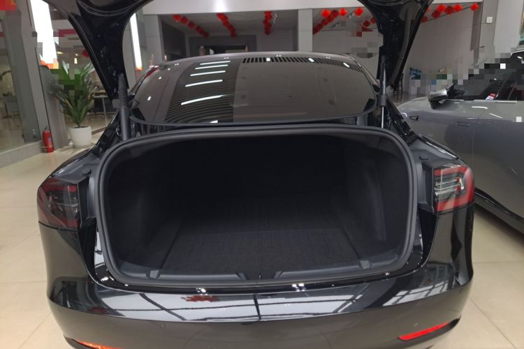 Used Tesla Model 3 2021 Standard Range Rear-Wheel Drive Upgraded Version 3D6