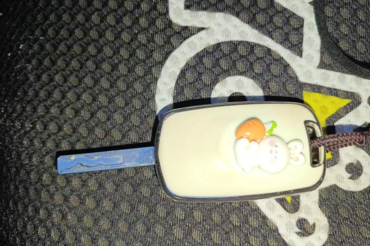 Used Baojun 510 2017 1.5L Automatic Fashion Model Vehicle Key