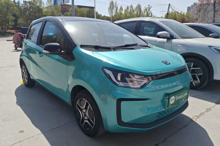 Used SOL E10X 2022 Flower Fairy Design Four-Leaf Clover
