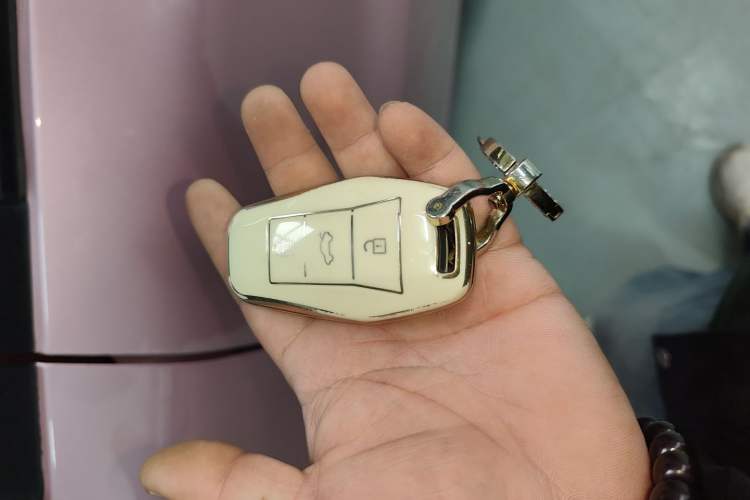 Used SOL E10X 2022 Flower Fairy Design Four-Leaf Clover Vehicle Key