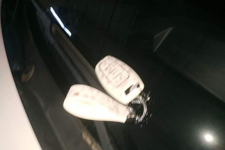 Used Haval H6S 2022 2.0T Two-Wheel Drive ZhiRun Version
