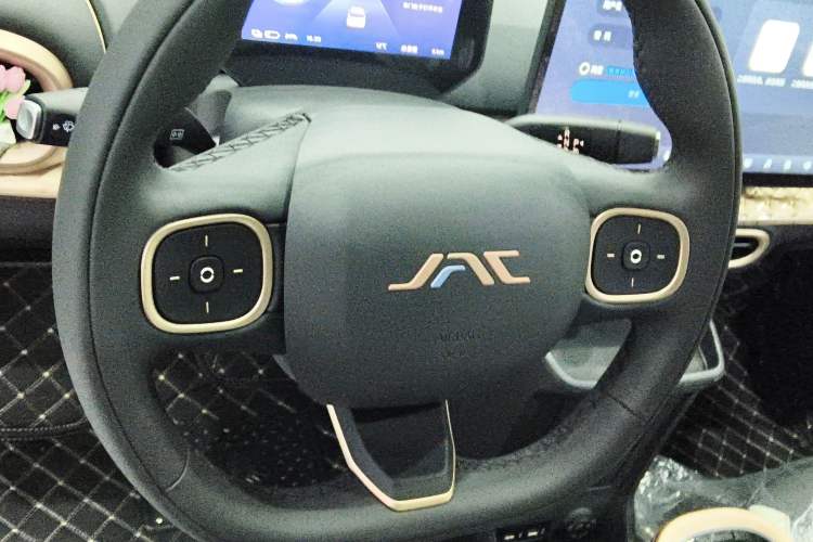 Used JAC Yiwei 3 2025 330km Black Pineapple Edition
