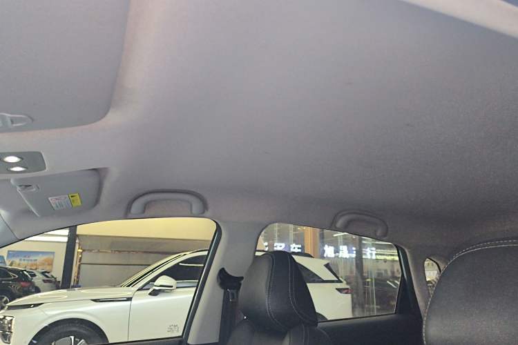 Used NETA V 2021 Long-Range Entertainment Edition Upgrade Model