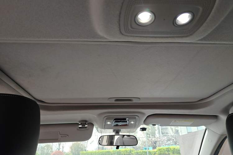 Used BYD Qin New Energy 2019 High-Range Luxury Model Headliner
