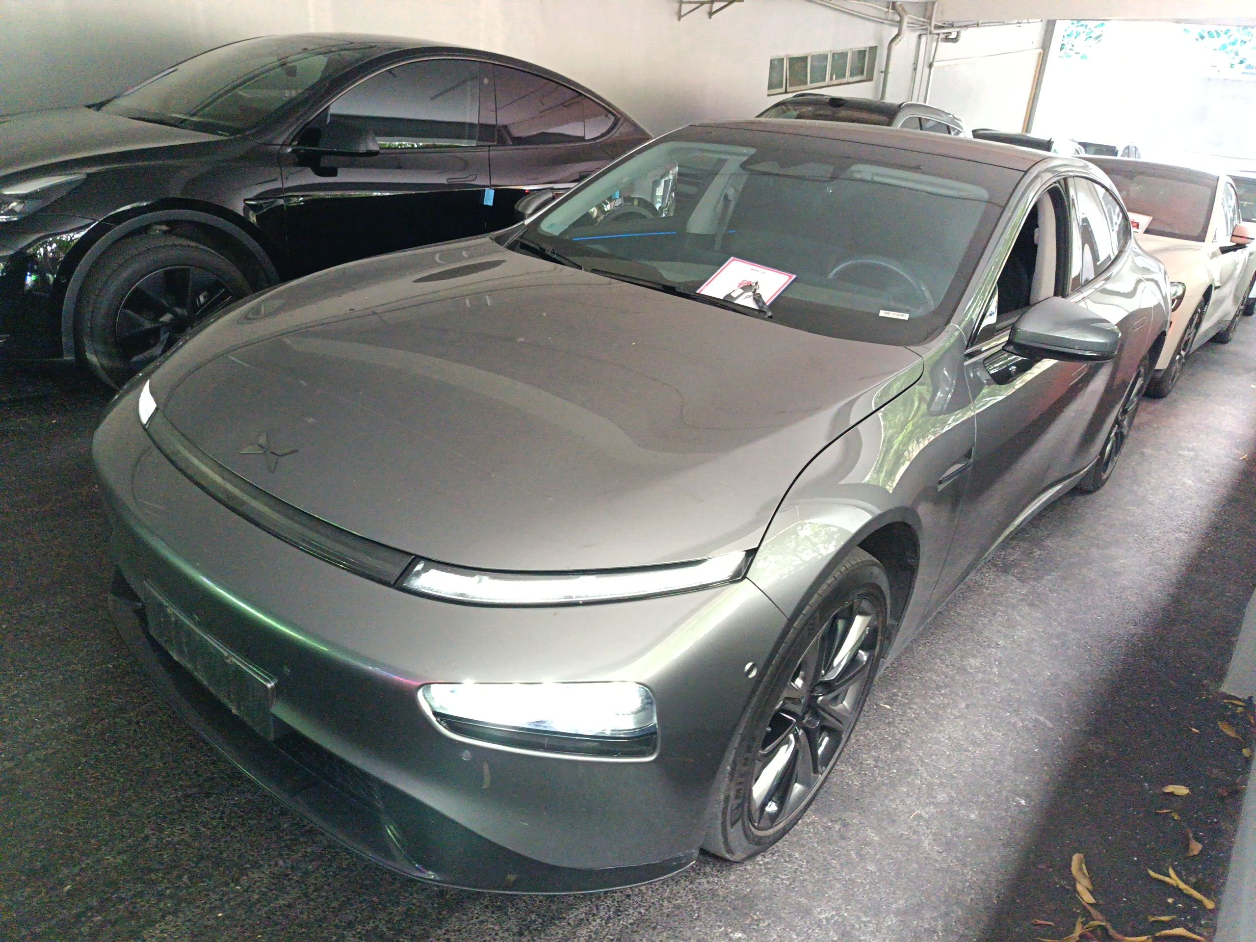 Parte inferior delantera