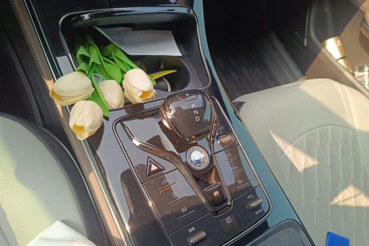 Used BYD Han 2021 EV Standard Range Luxury Model
