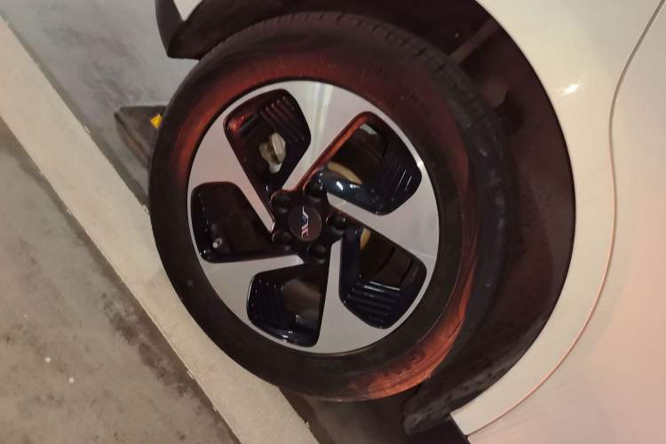 Used JAC Yiwei 3 2023 505 km Championship Edition