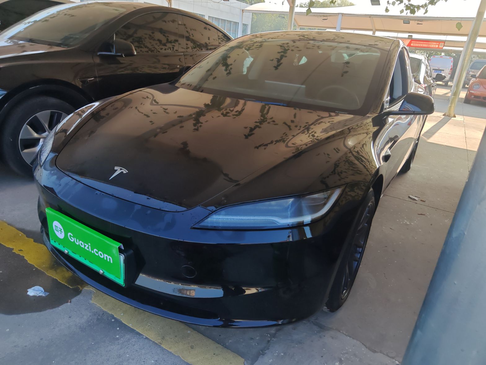 Parte inferior delantera