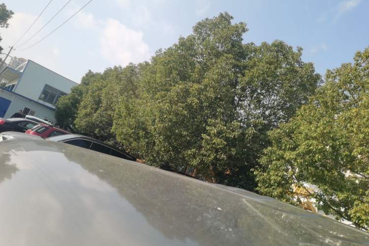 Used Oshan X70A 2019 1.5L Manual Standard Version China VI