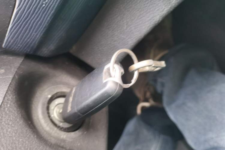 Used FORTHING Lingzhi 2022 M5L 1.6L Utility Model 7 Seats
