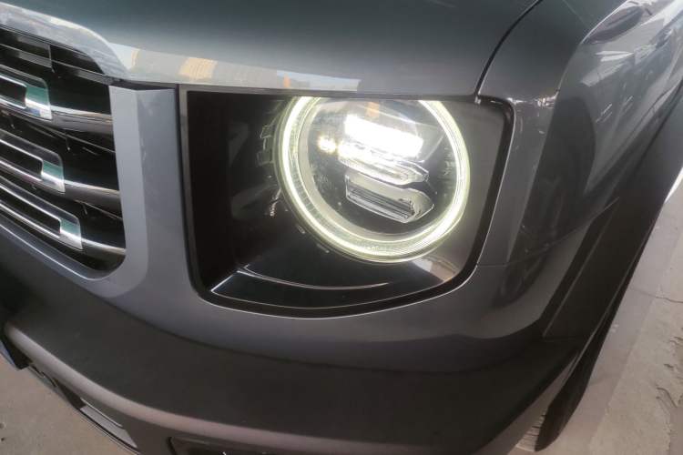 Used Haval DARGO 2021 2.0T DCT 4x4 Chinese Rural Dog Edition