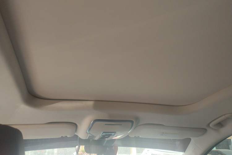 Used Hongqi HS7 PHEV 2024 2.0T PHEV Four-Wheel Drive Flagship Edition 6 Seats Headliner